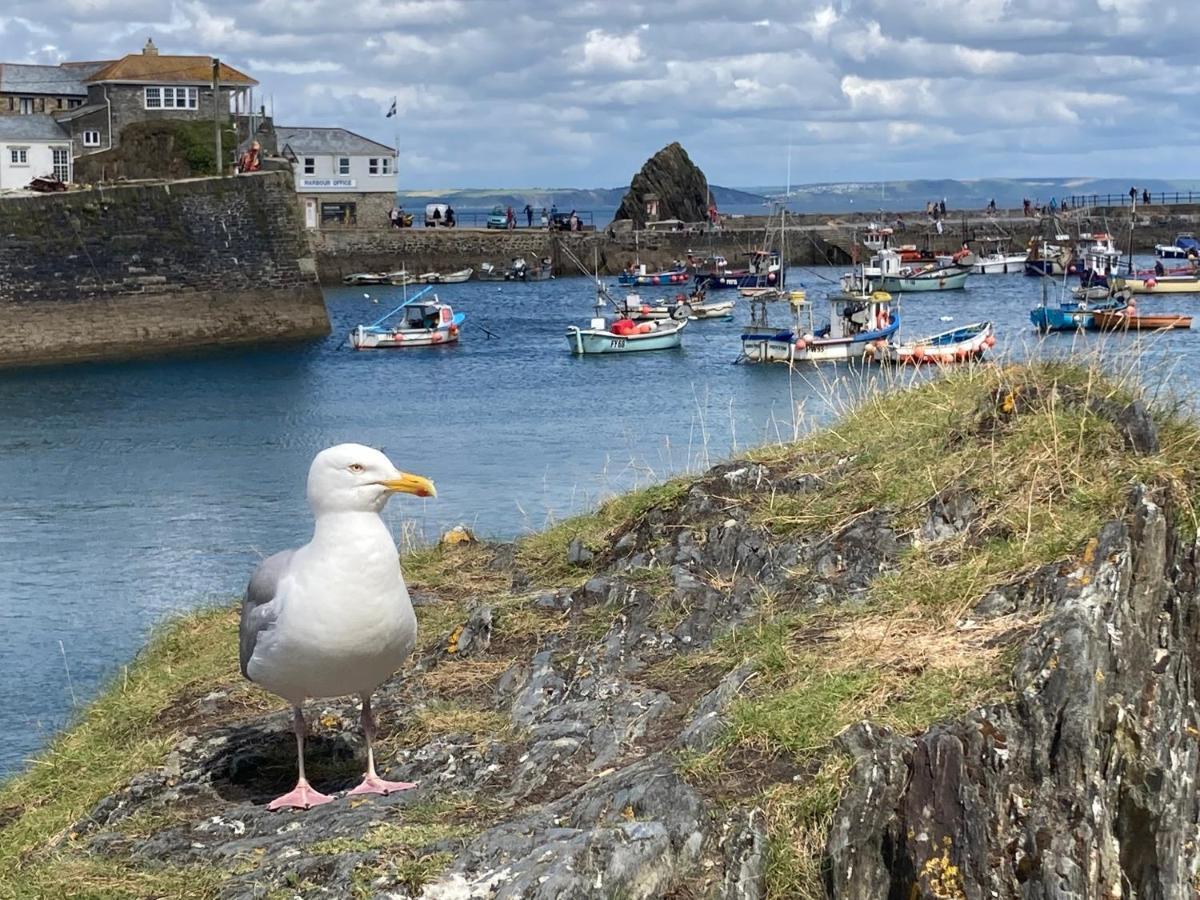 Finest Retreats - Backlet Cottage - Mevagissey Cottage Sleeps 4 Extérieur photo